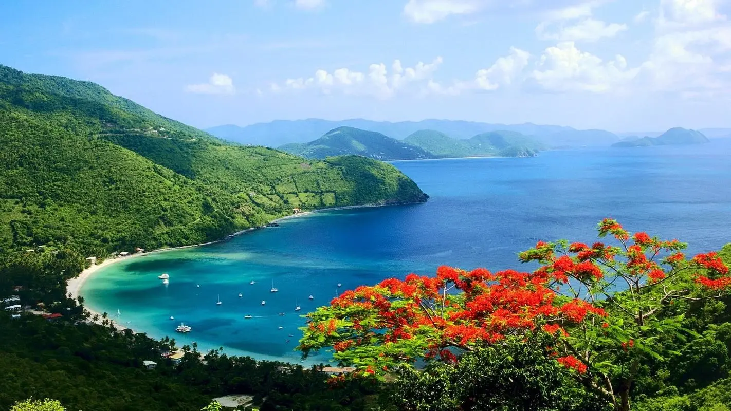 高标准精密